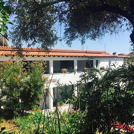 Villa Meroulas Megali Ammos  Bagian luar foto